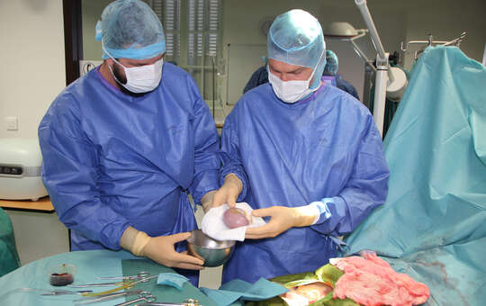 Organisation du prélèvement multi-organes au bloc opératoire